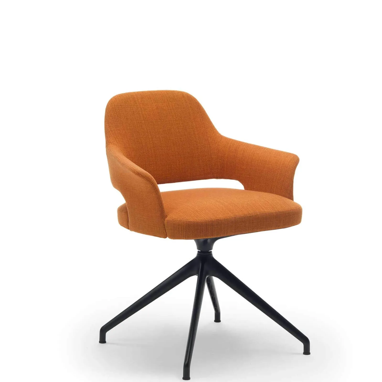 Lomacasa Marelli Amy Chair Gallery 1-4