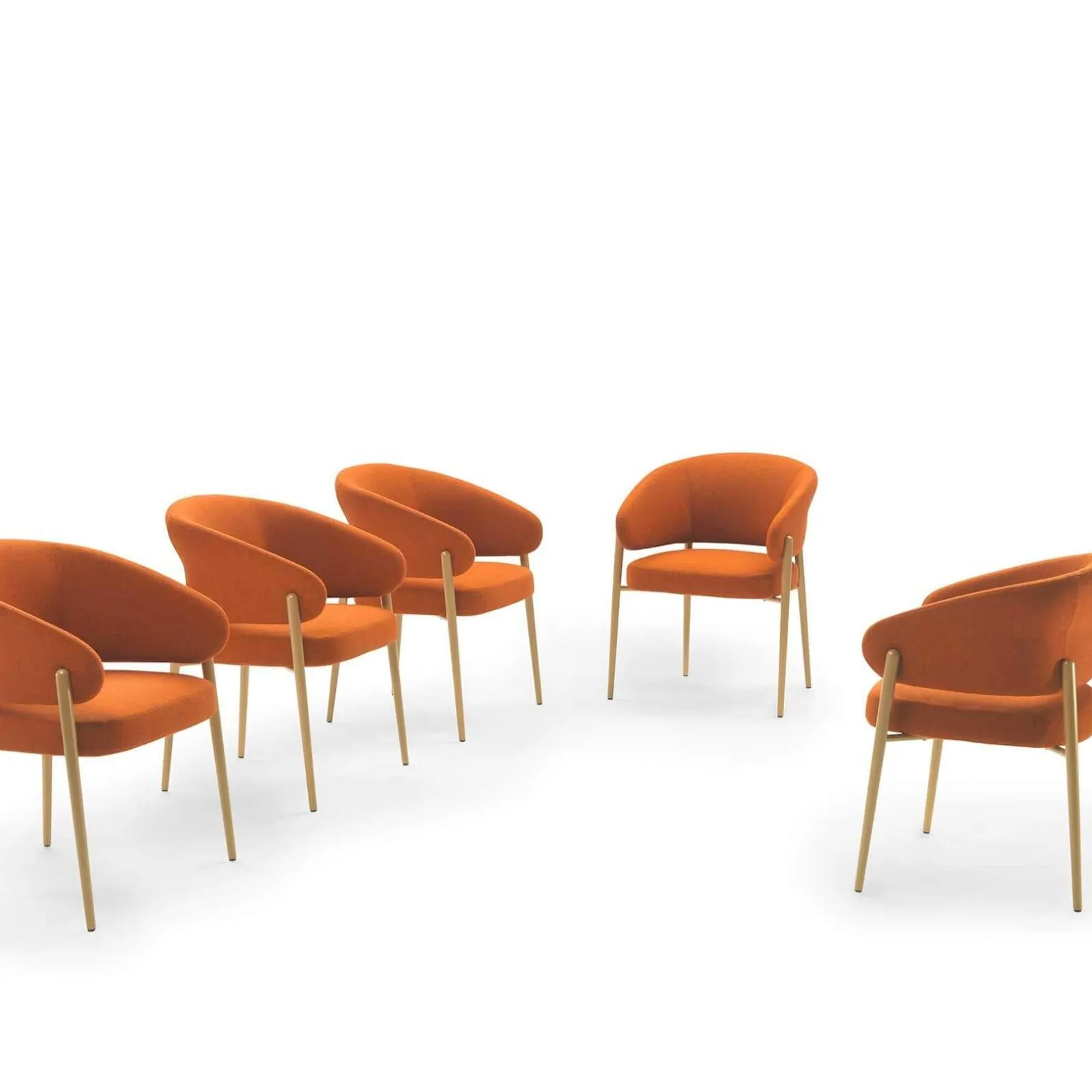 Lomacasa Marelli Linda Chair Gallery 2-8