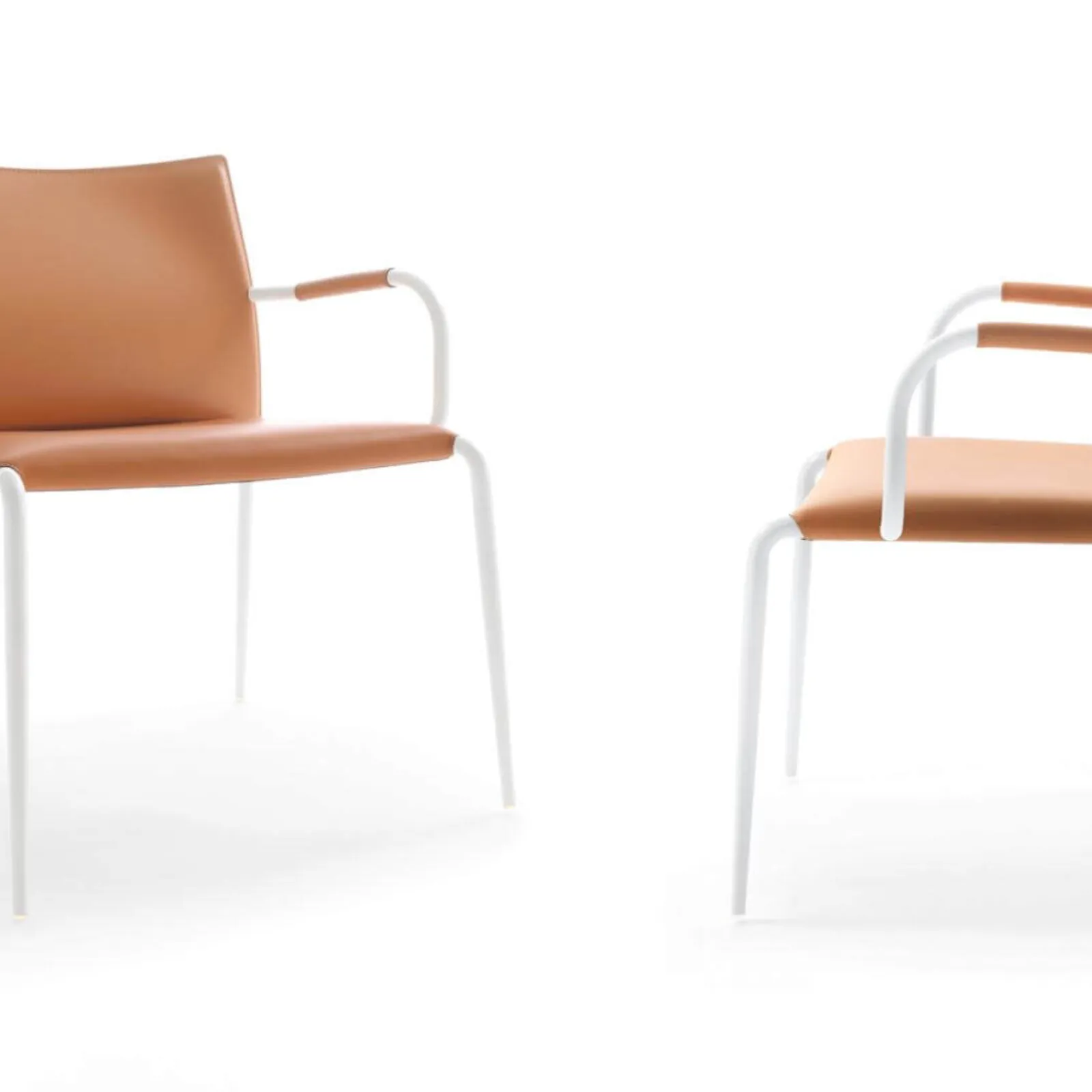 Lomacasa_Pellizzoni_Gazzella-Armchair_Gallery-7