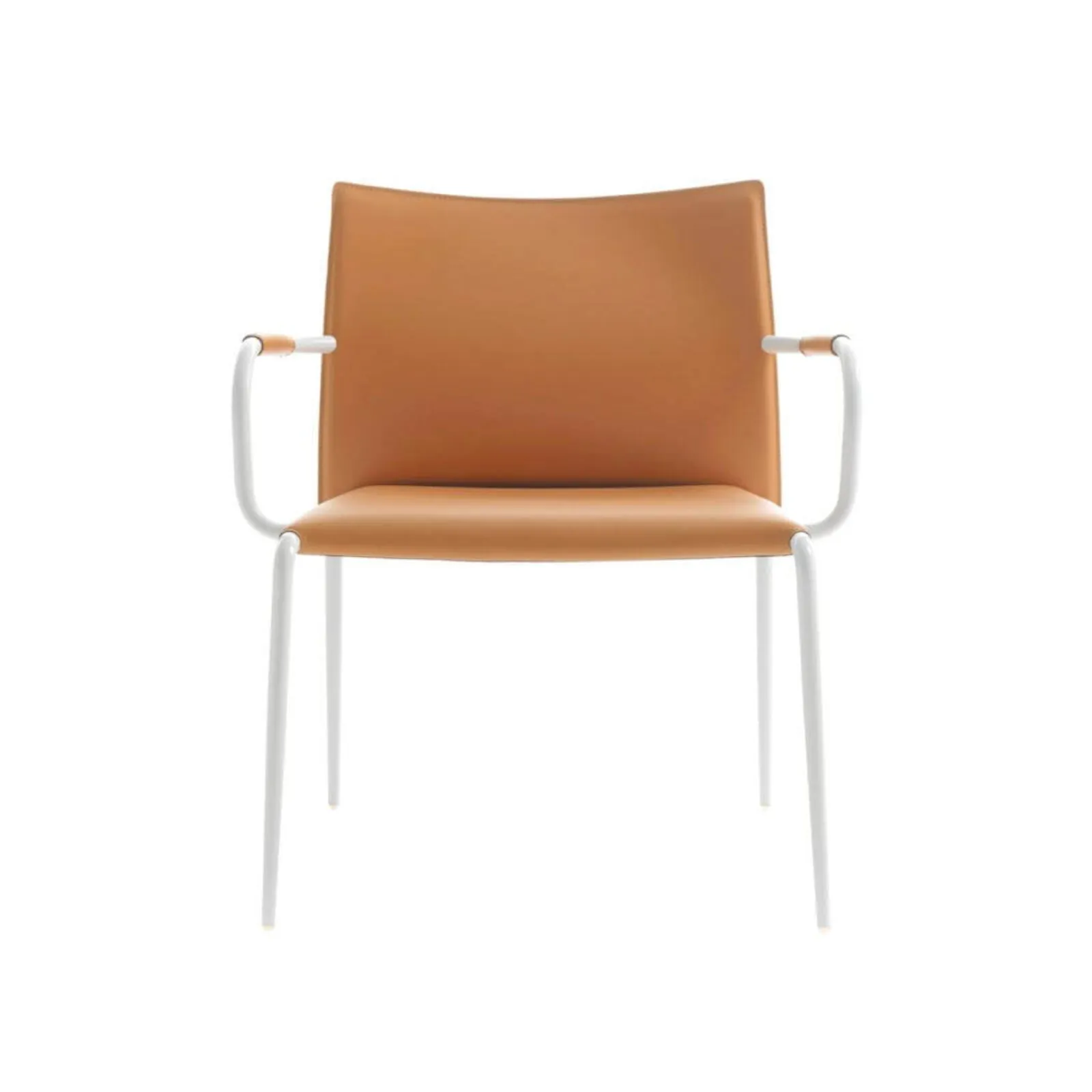 Lomacasa_Pellizzoni_Gazzella-Armchair_Gallery-8